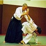 aikido mots d'origine japonaise