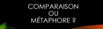 comparaison ou métaphore - jongleries linguistiques